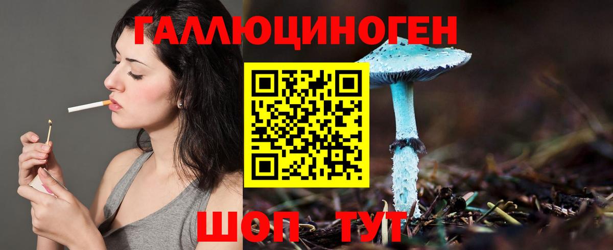 дарнет шоп  Галлюциногенные грибы мухоморы  Псилоцибиновые грибы MAGIC MUSHROOMS  Вход с VPN  Ивантеевка 